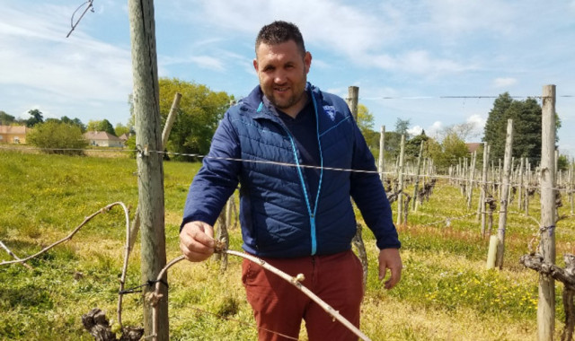 Le viticulteur Vincent Bétouret montre le dégât du gel sur les premiers bourgeons de ses vignes. Cette parcelle a été touchée à 90%