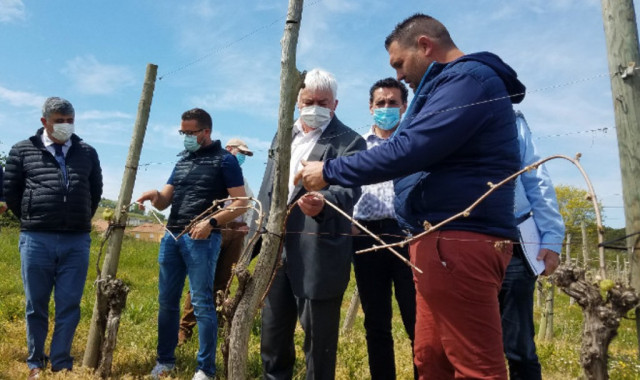 A Monein, représentants du monde agricole et élus, se sont retrouvés sur une parcelle de vignes de Vincent Bétouret, touchée par le gel le 7 avril dernier