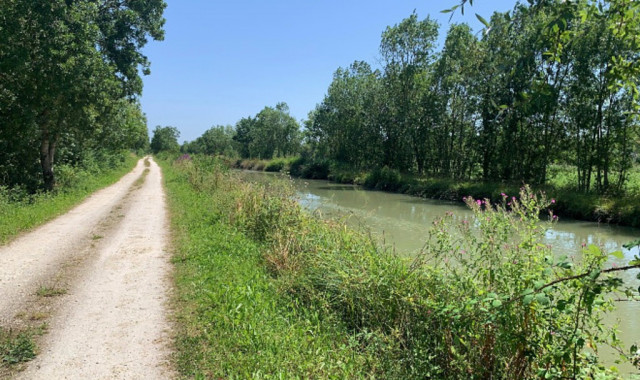 Pendant un bout de temps nous avons suivi le canal qui borde la Charente. Hormis d’autres adeptes du vélo ou de la randonnée nous n'avons croisé aucun véhicule. On se sent en sécurité