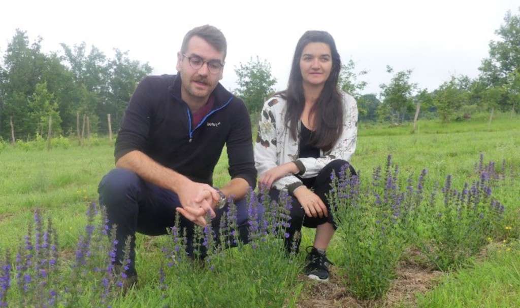 Loïs et Nolwenn Gauthier produiront leurs plantes aromatiques sur place