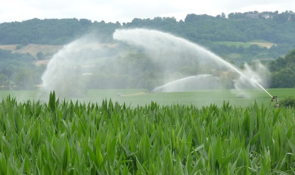 eau agriculture irrigation - image d'illustration