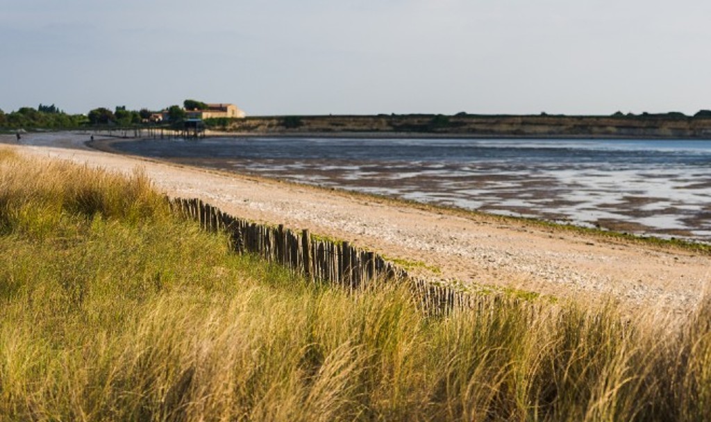 La réserve du marais d'Yves, côté littoral