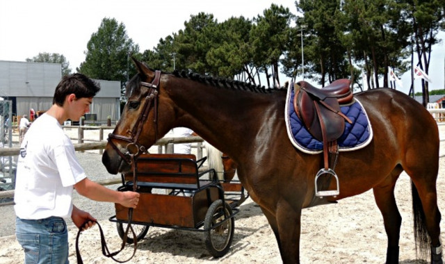 Equitaine donne rendez-vous aux passionnés de chevaux at autres équins, sur la grande carrière du Salon de l'agriculture