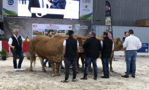Eleveurs et leurs vaches (dont Pierre Lortholary, éleveur de GAEC la trochoise ) à la vente aux enchères du Salon de l'Agriculture de Nouvelle-Aquitaine, 2022.