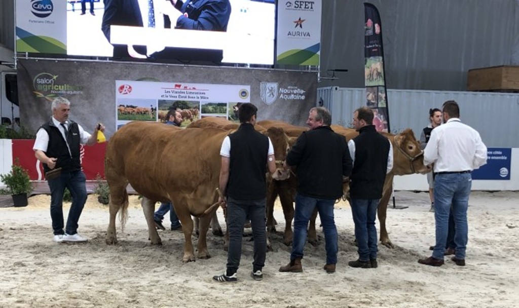 Eleveurs et leurs vaches (dont Pierre Lortholary, éleveur de GAEC la trochoise ) à la vente aux enchères du Salon de l'Agriculture de Nouvelle-Aquitaine, 2022.