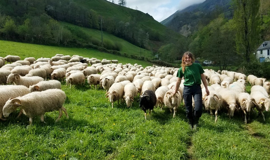 Marilyne Casavieille et ses brebis à Lees Athas, en Vallée d'Aspe (Pyrénées-Atlantiques)