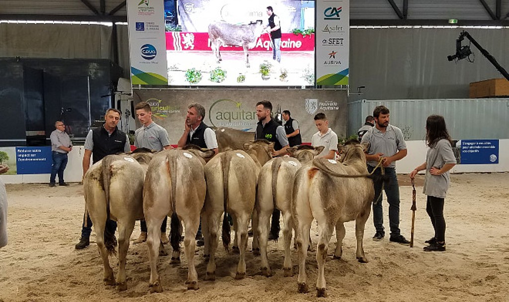 Concours national bazadais sur le Salon de l'agriculture Nouvelle-Aquitaine