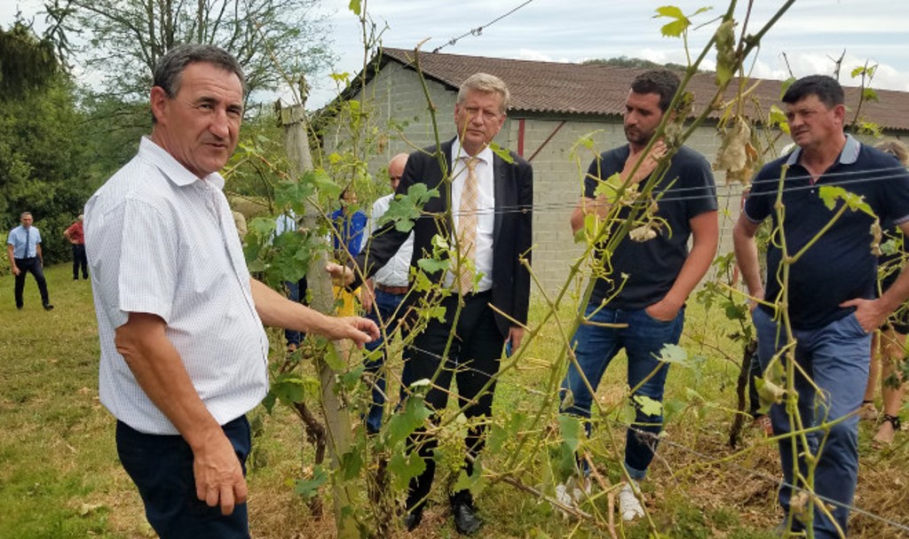 A Mont-Disse en Béarn, Charles Pelanne a vu ses cultures de kiwi et de vignes détruites à 100 % par la grêle. Ici avec Eric Spitz, préfet du département venu constater les dégâts