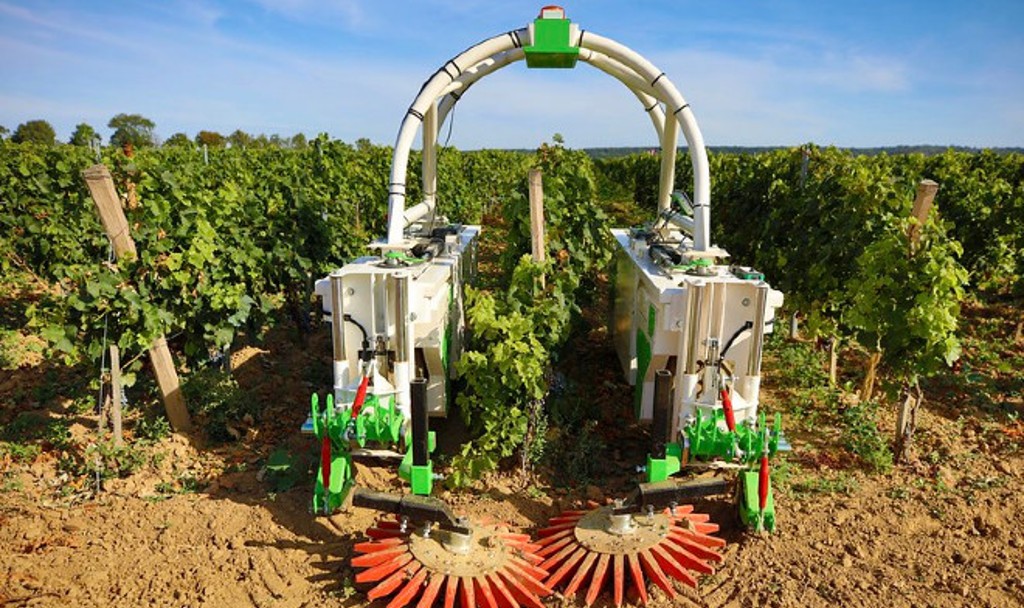 Un robot dans les vignes