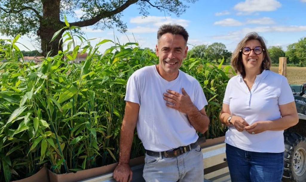 Samia Riffaut et son salarié Jérôme Brunet ont planté 3 600 plants de bambou géant Moso le 26 mai.