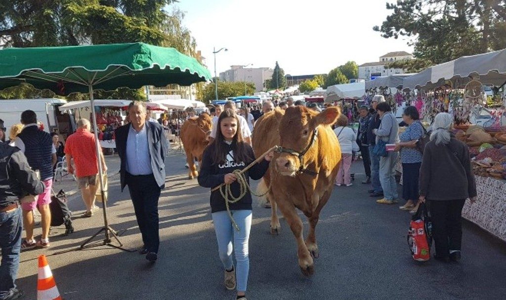 Le Festival de l’agriculture et de l’élevage revient les 24 et 25 septembre