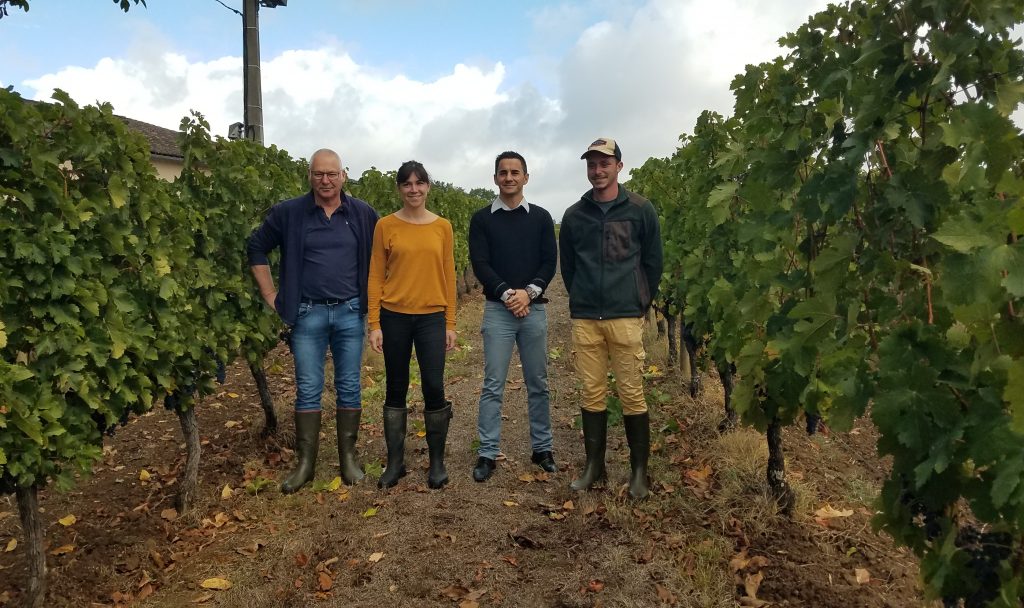 3 hommes et une femme entre des rangs de vigne en Girondes