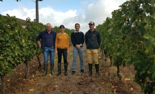 3 hommes et une femme entre des rangs de vigne en Girondes