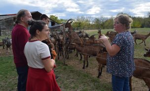 Juste devant un enclos où l'on peut voir le troupeau de chèvres de La Ferme de la Bon'o'venture, Laetitia Bonnot, l'exploitante, présente la ferme et ses activités aux visiteurs.