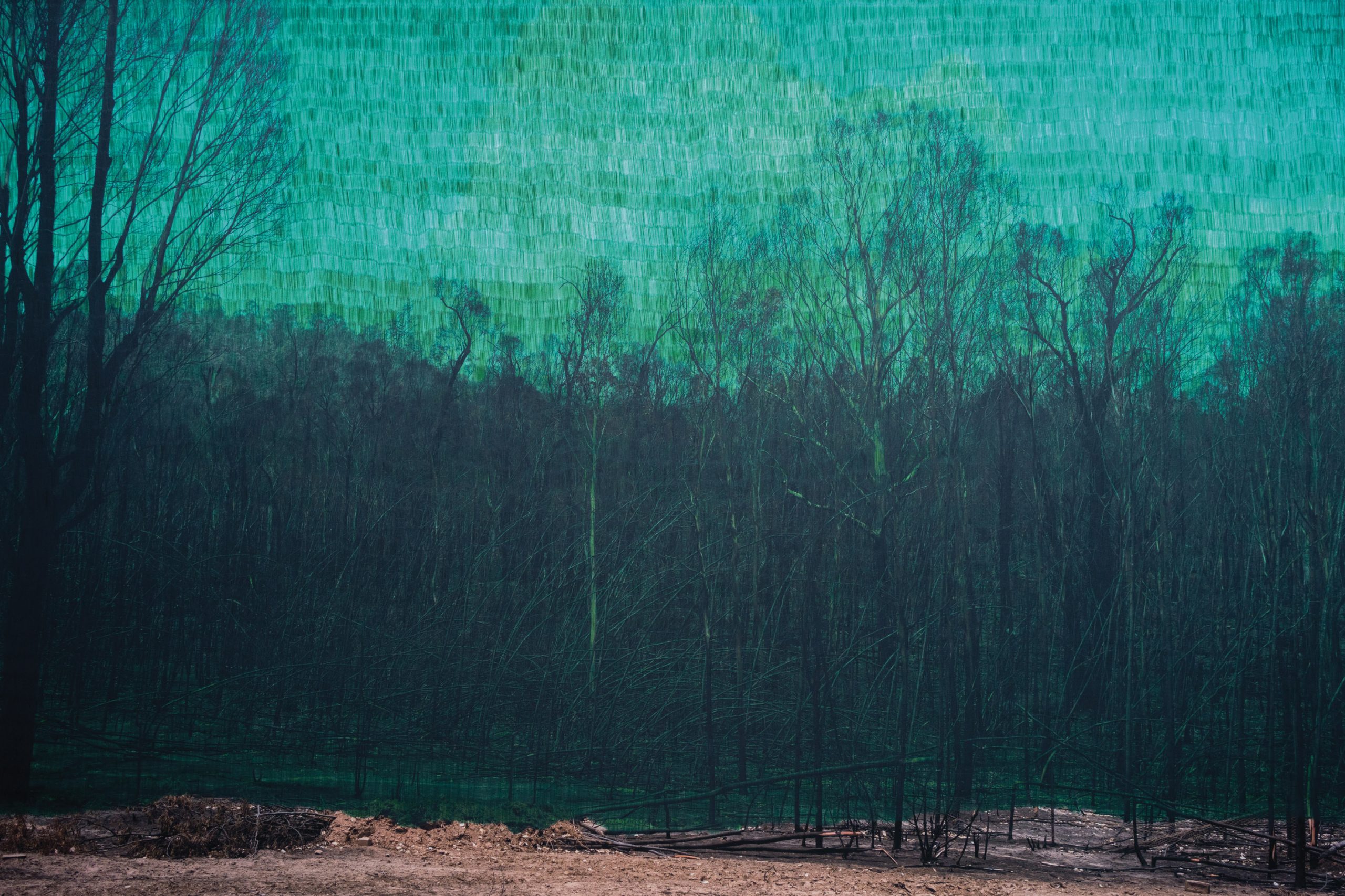"This Too Shall Pass" est une série d'oeuvres de l'artiste Morvarid K, portant sur les feux de forêt