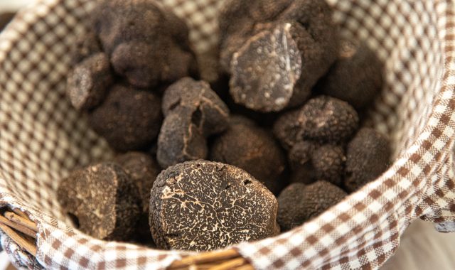 L'image montre un panier rempli de truffes noires du Périgord, la célèbre tuber melanosporum, célébrée pendant la fête de la truffe de Sarlat.