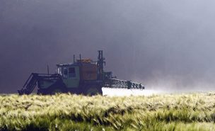 Tracteur pulvérisation sur un champ de blé