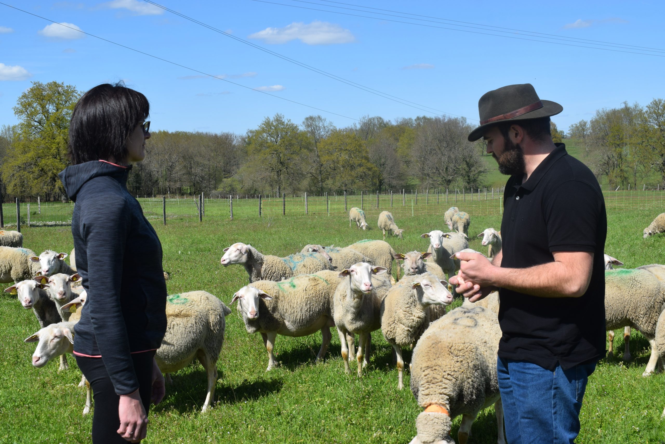 Delphine et Fabien Prunet aiment passer du temps au milieu de leur troupeau ovin, qu'ils laissent au maximum à l'herbe dans les prairies autour de l'exploitation.