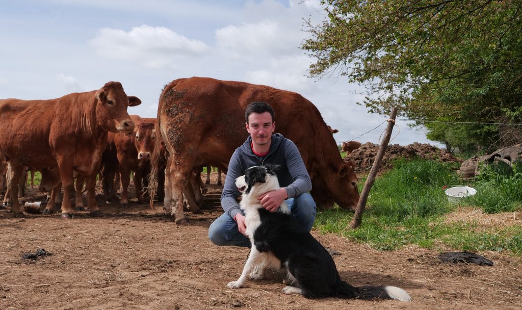 Alexandre Moine agriculteur à Celle-Lévescault (Vienne) avec ses vaches et son chien de berger