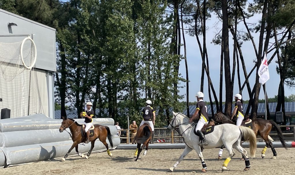 Quatres chevaux montés par des cavaliers se font des passes pour s'entrainer au match de horse-ball.