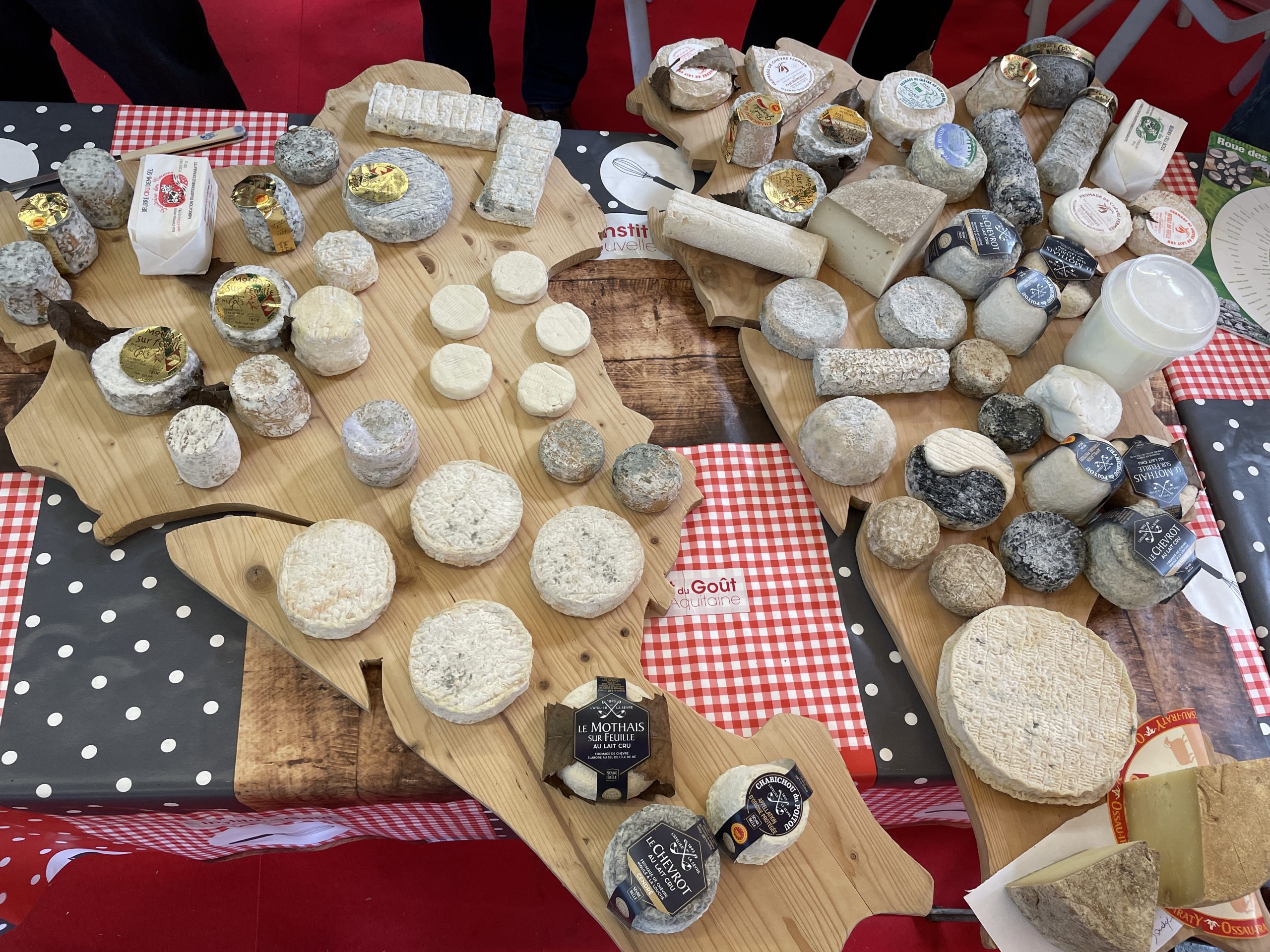 La région Nouvelle-Aquitaine compte une centaine de fromages principalement composés de lait de brebis et de chèvre
