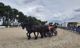 Deux chevaux d'attelage tirent une wagonnette, à son bord Patrick Rebulard enseignant la pratique à un couple