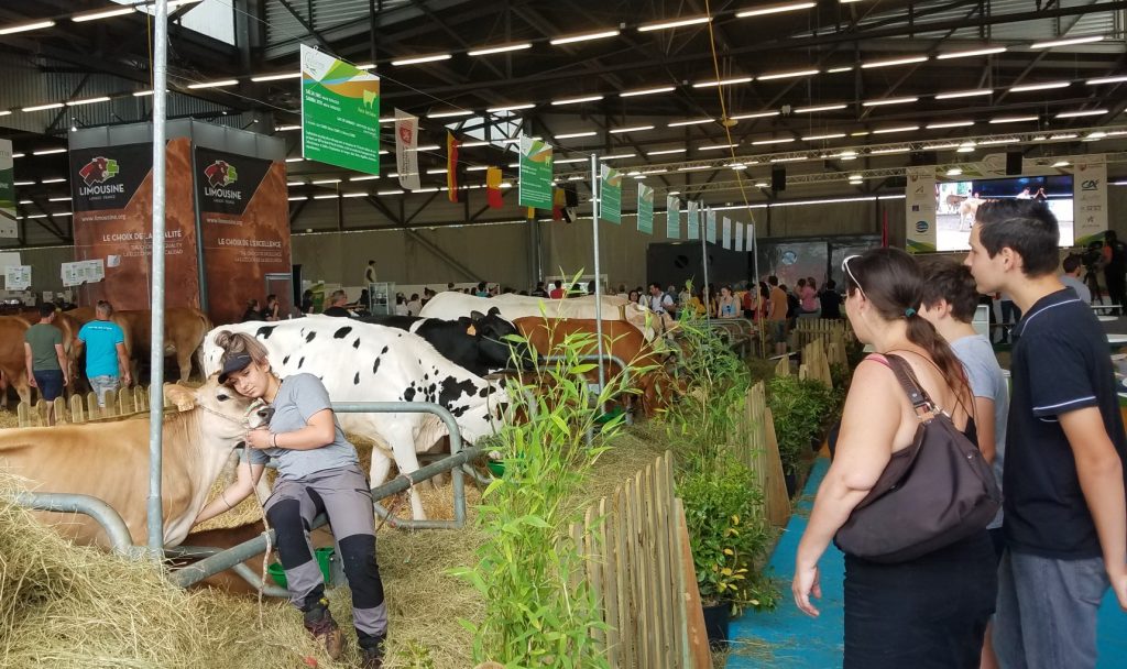Une jeune agricultrice caline une vache sous le regard de visiteur du Salon de l'agriculture de Nouvelle-Aquitaine (édition précédente)