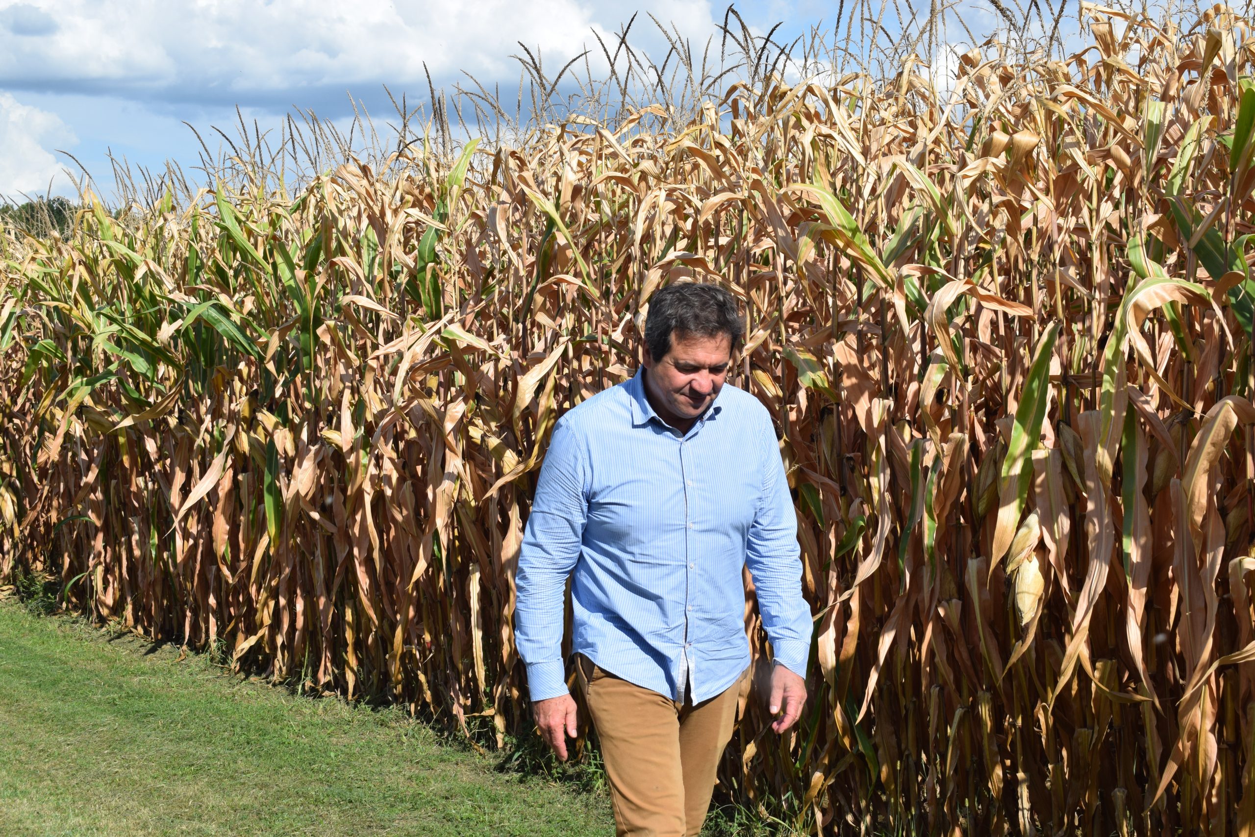 Éric Frétillère le long de ses champs de maïs, autour du siège de l'exploitation et de sa maison.