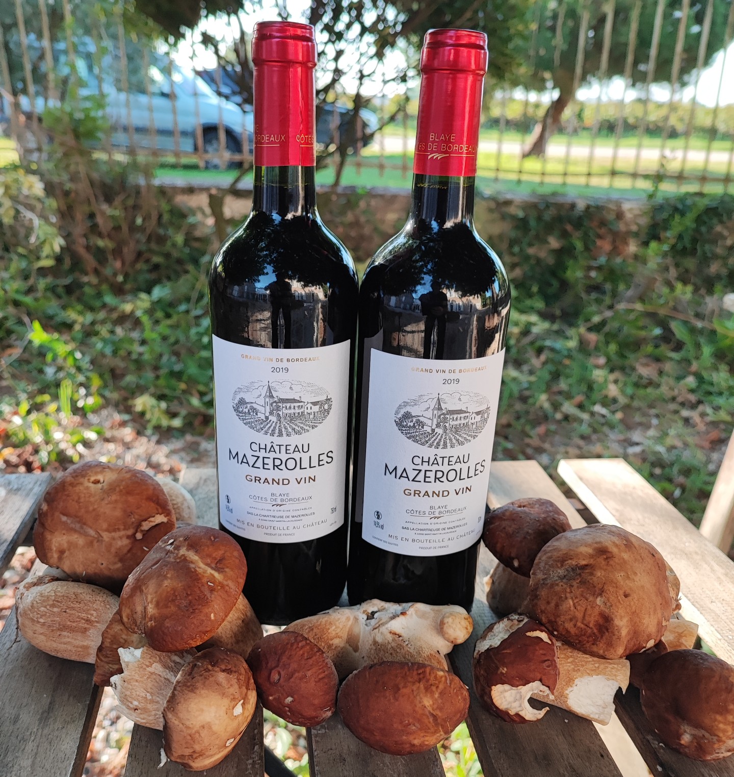 Deux bouteilles de vin rouge du Château Mazerolles - AOC Bordeaux Côtes de Blaye