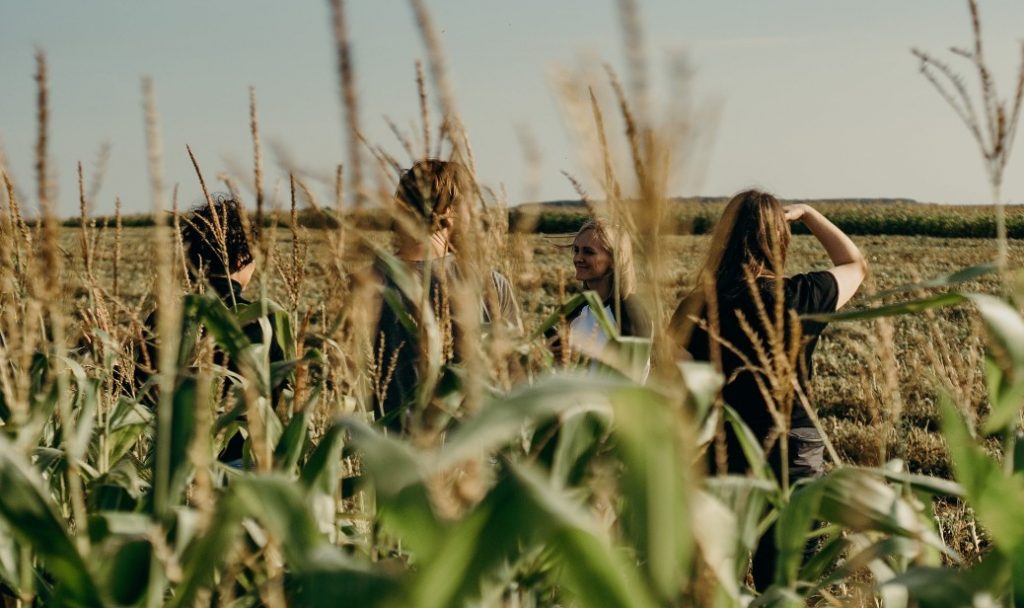 Des jeunes dans un champ de maïs