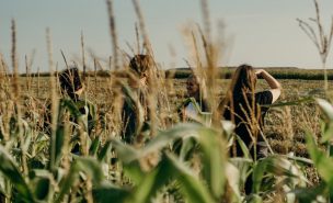 Des jeunes dans un champ de maïs