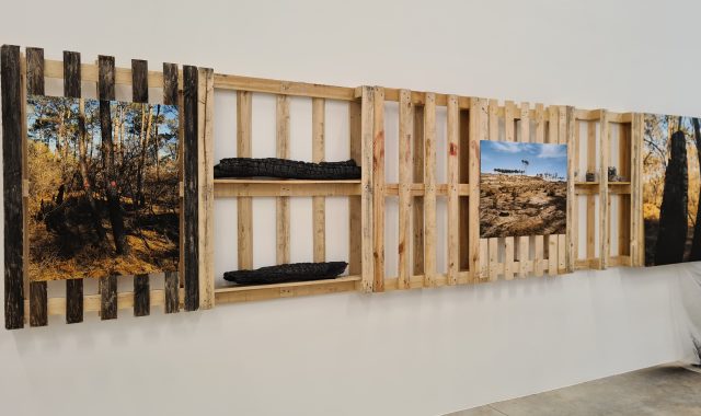 Les photos de Chloé Dewe Mathews accrochés sur des palettese en bois sur un mur blanc. Desss bouts de bois carbonisés sont posés sur des étagères entre les photos.