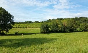 un paysage agricole de Nouvelle-Aquitaine avec une prairie, des vignes et des haies