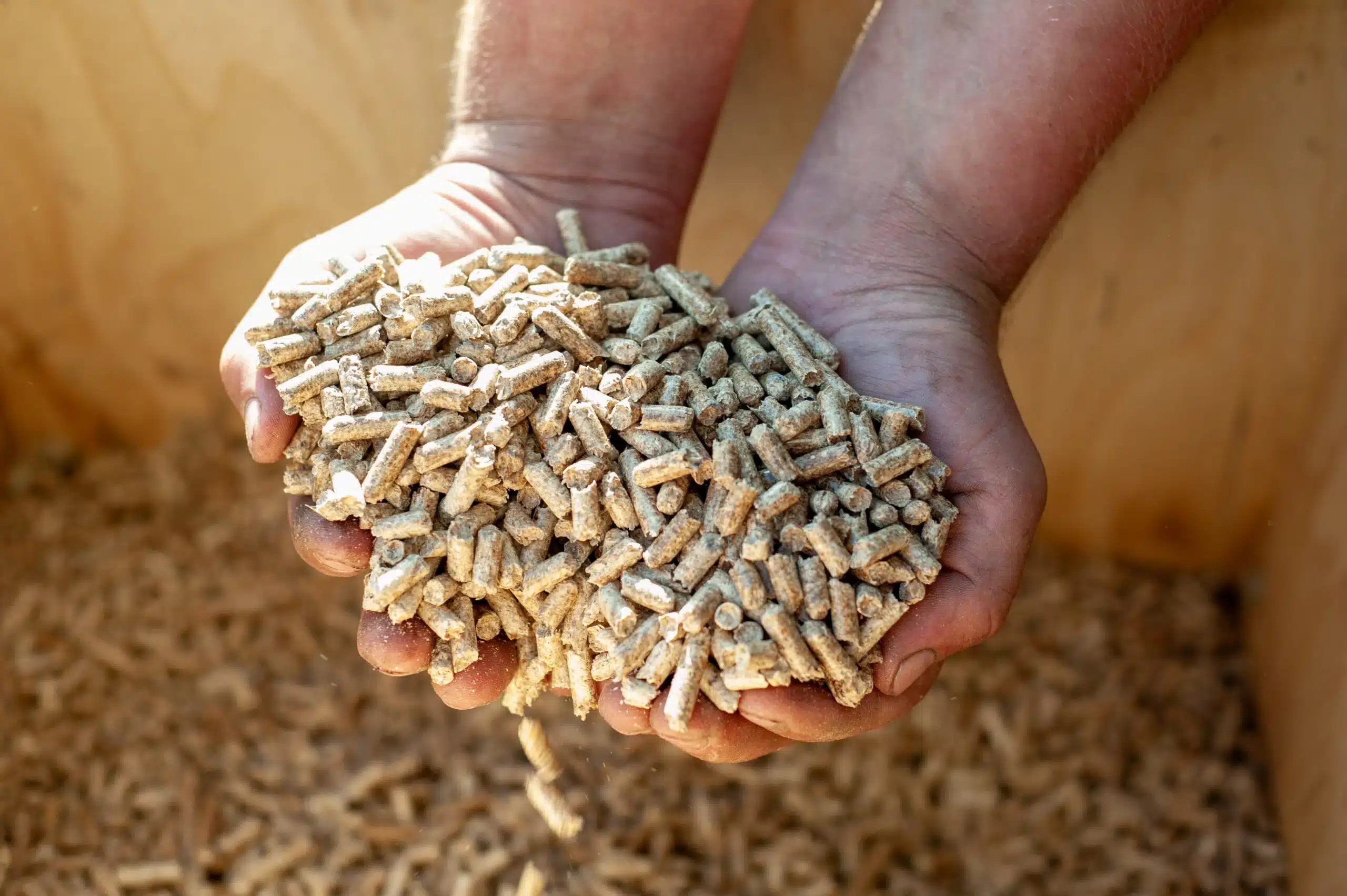 « les vendeurs ne le mentionnent jamais », leurs pellets stockés depuis l’hiver dernier sont en réalité presque inutilisables