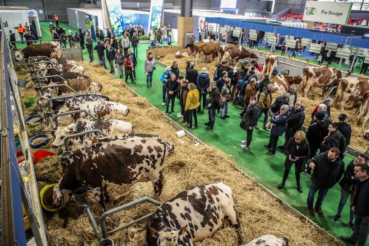 salon de l'agriculture 2026 dates, prix et informations à retenir