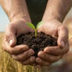 Mains tenant une jeune pousse dans de la terre, avec un champ de blé, un porte-conteneurs et un graphique en arrière-plan.