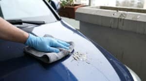 Une main gantée de bleu utilisant un chiffon en microfibre pour nettoyer des fientes d'oiseau sur un capot de voiture bleu.