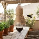 Bouteille en plastique suspendue avec une étiquette "Eco-lure" pour repousser les frelons sur une terrasse.