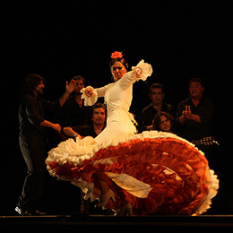 Un danseuse de flamenco-Arte Flamenco 2008