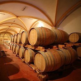 Bordeaux, la fracture viticole. De 700 euros le tonneau de 900
