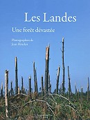 Les Landes, une forêt dévastée