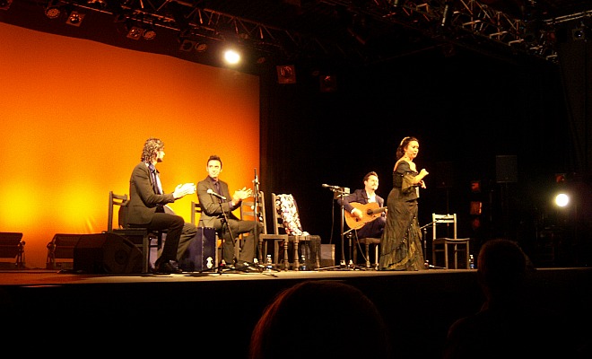 Encarne Anillo, une révélation du Festival Arte Flamenco 2014