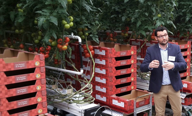 Gilles Bertrandias directeur général des Paysans de Rougeline explique la conduite de la production de la tomate dans l'écoserre 
