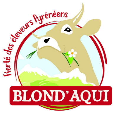 Logo Blond'Aqui