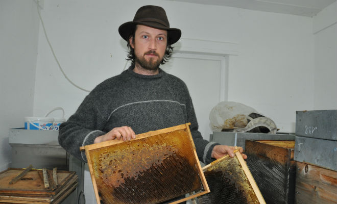 Peter Esnault montre ses ruches mortes