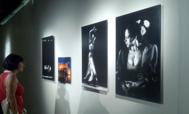 Exposition ''Instantanés, 30 ans de Festival Arte Flamenco vus par les photographes'' jusqu'au 22 juillet 2018 au musée Despiau wlérick de Mont-de-Marsan