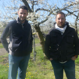 Julien Durand et son cousin Nicolas Pouget, deux des associés du Gaec au milieu des pruniers en fleurs