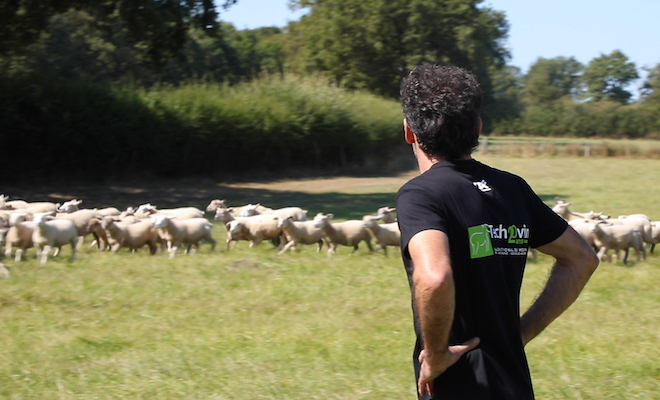 Stéphane Lorgue, éleveur de moutons à Bellac, attend tous les deux ans avec impatience ce rendez-vous pensé pour les éleveurs
