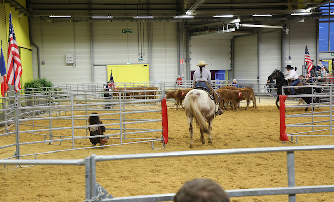 Démonstration de tri de bétail réalisée par l'association western acadienne (AWA) sur le ring du hall B du parc des expositions de Poitiers