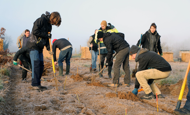 300 arbustes pour 200 mètres de haie. Les bénévoles n'ont pas eu de difficultés pour creuser les trous dans le sol sableux malgré le gel matinal.